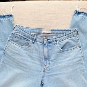 Everlane The Curvy Cheeky Jeans